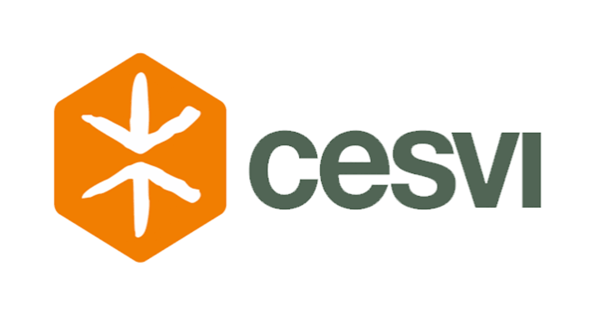 CESVI Foundation Is Hiring a Protection Specialist