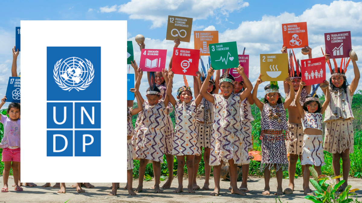 UNDP Home-Based Online Internship 2026 with Monthly Stipend