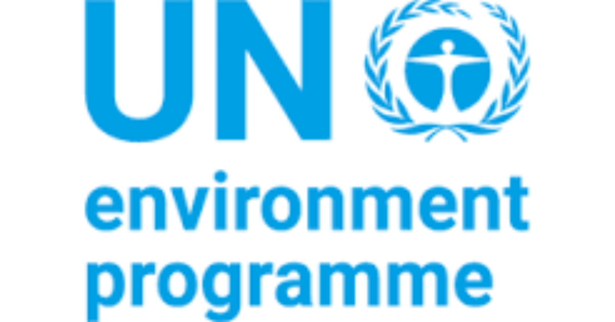 UNEP Remote Internship Opportunities 2026: International Environmental Careers and Application Guide