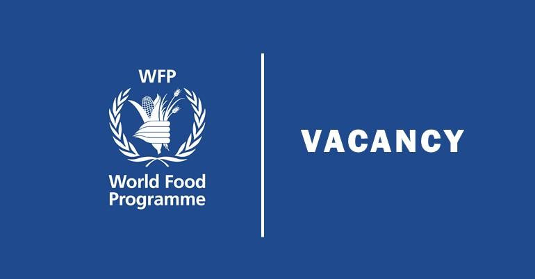 WFP Graduate Fellowship Programme 2026 – Opportunities for Master’s and PhD Students