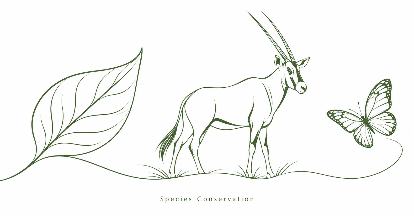 Mohamed bin Zayed Species Conservation Fund 2026: Apply for Global Conservation Grants by 15 October