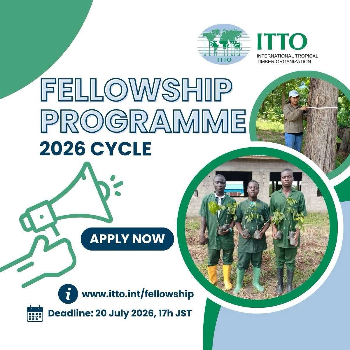 ITTO Fellowship Programme 2026 — Empowering the Next Generation of Tropical Forestry Leaders