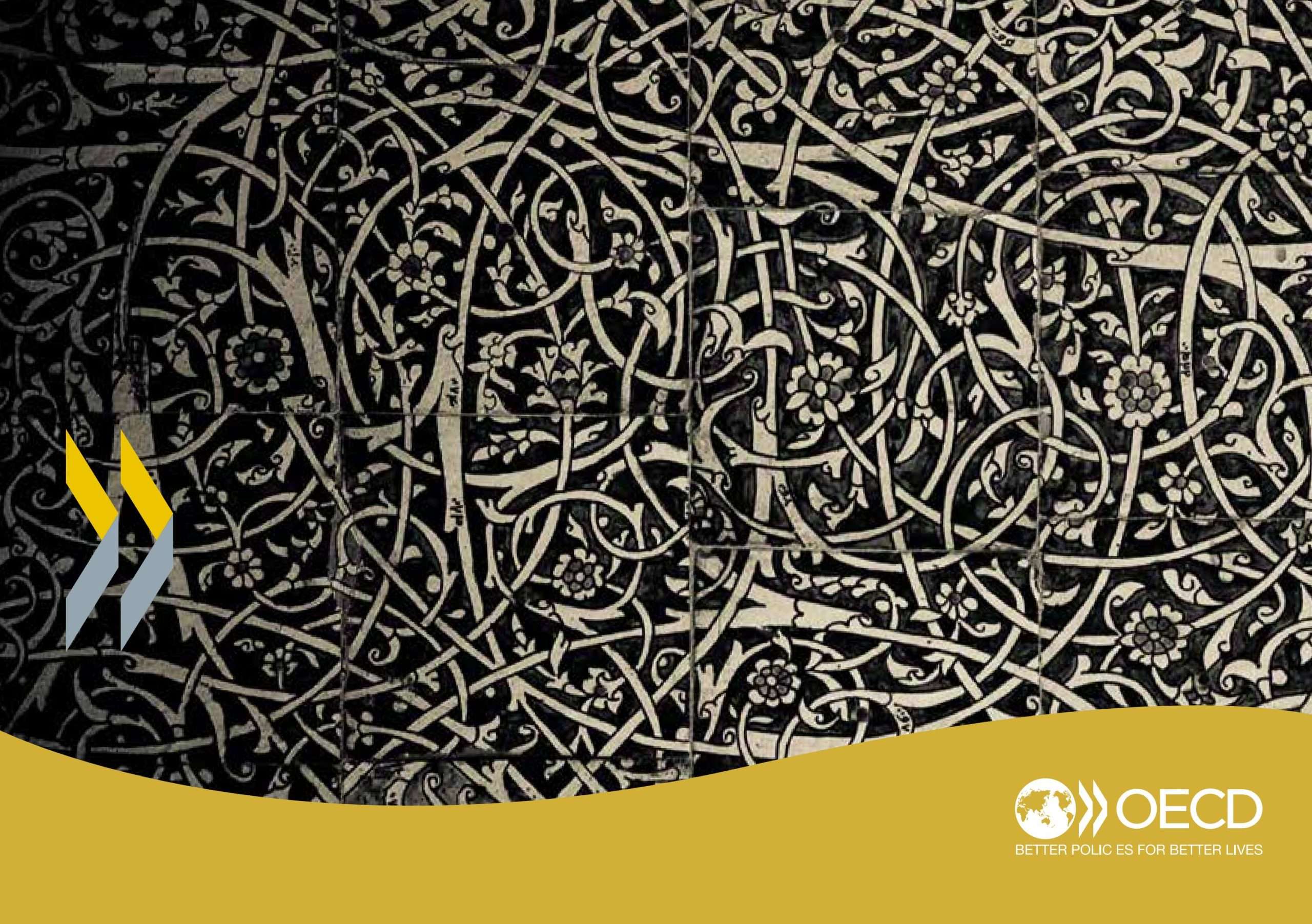 OECD Middle East and Africa Division Internship 2026: Launch Your International Policy Career with the OECD