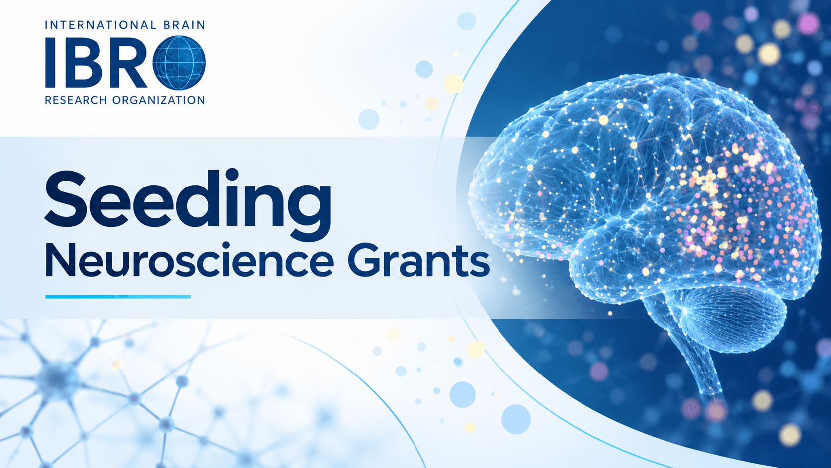 IBRO Seeding Neuroscience Grants 2026: Funding for New Neuroscience Societies and Thematic Networks in Africa, Asia-Pacific and Latin America - Opportunities for Youth — Opportunities for Youth
