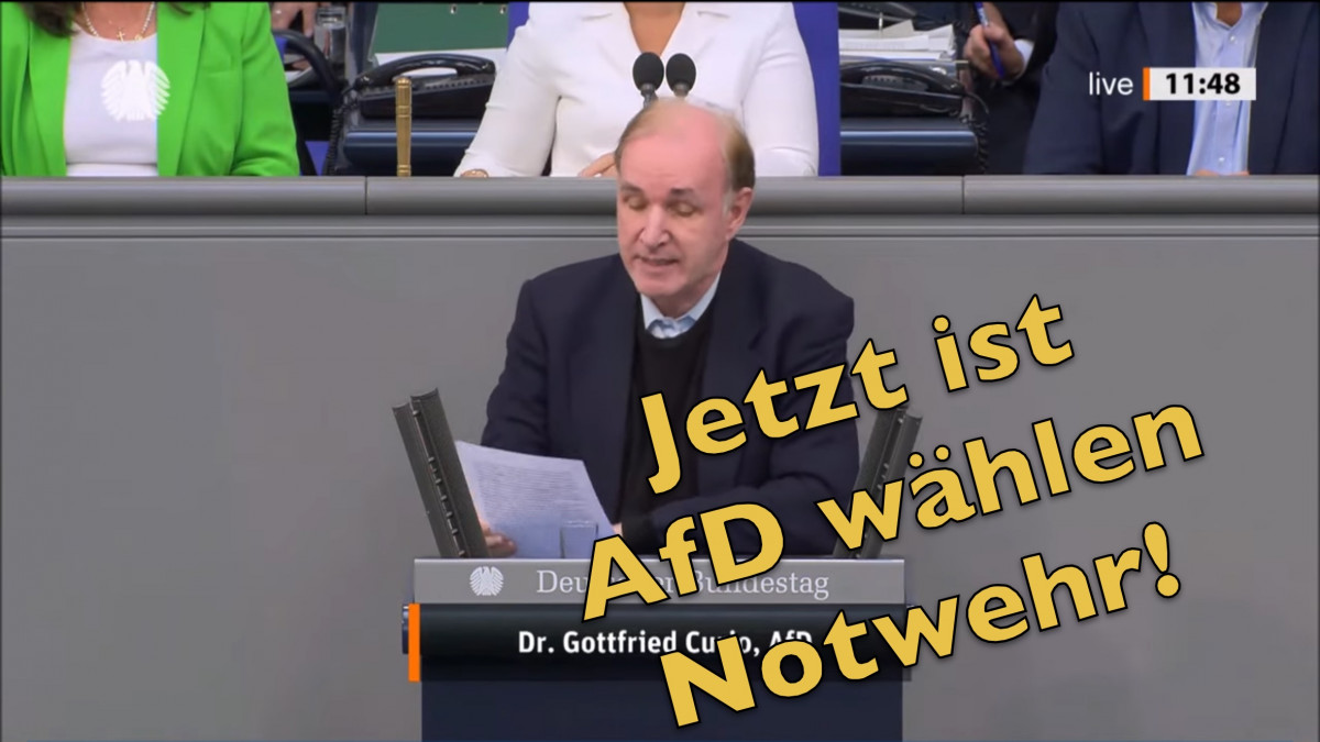 Curio: Es ist genug! Jetzt ist AfD wählen Notwehr!