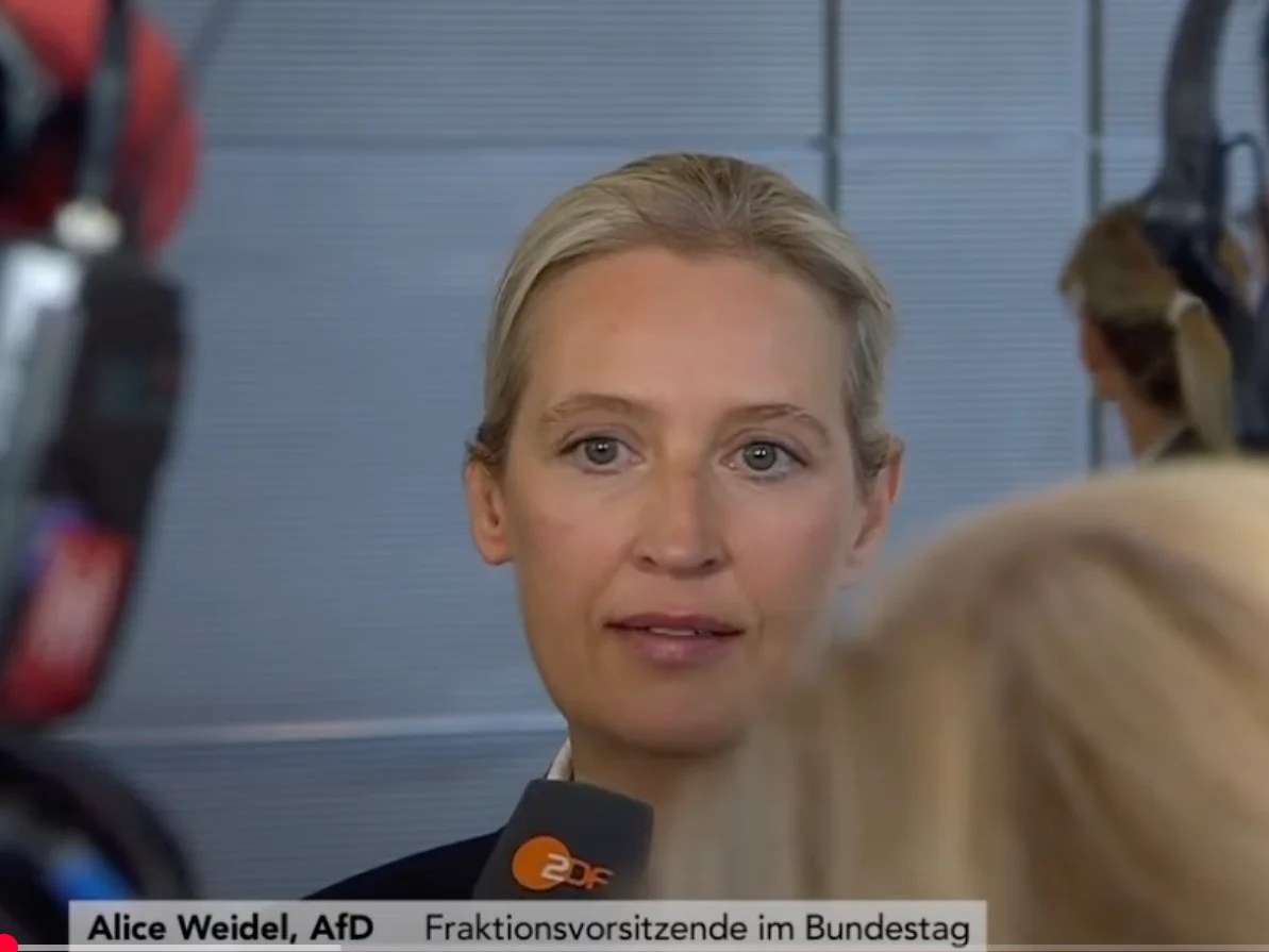 AfD fordert Neuwahlen