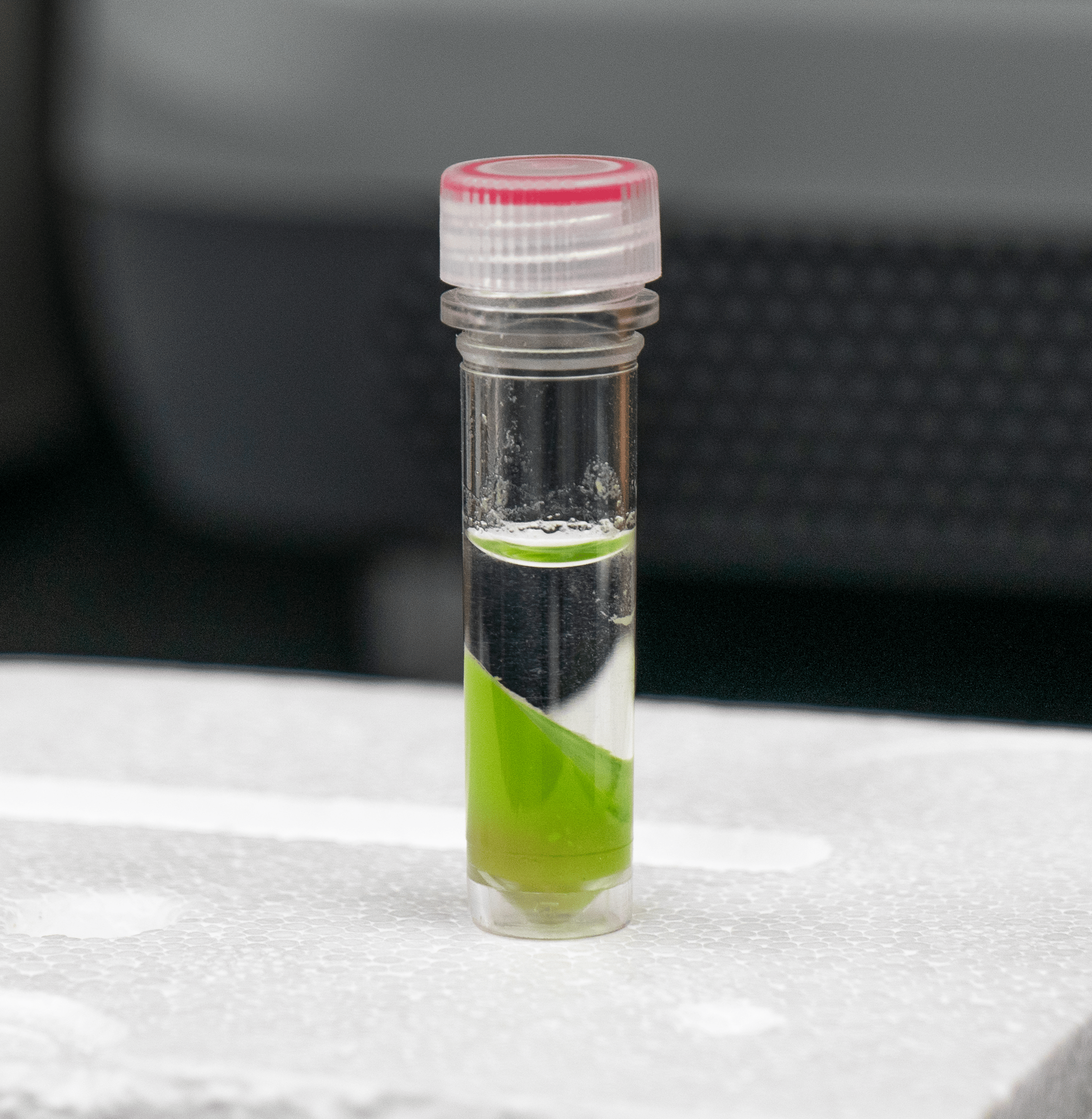 RNA Tube