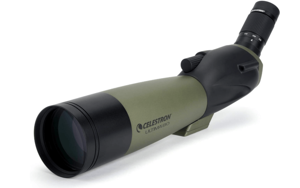 Best Scope for Bird Watching