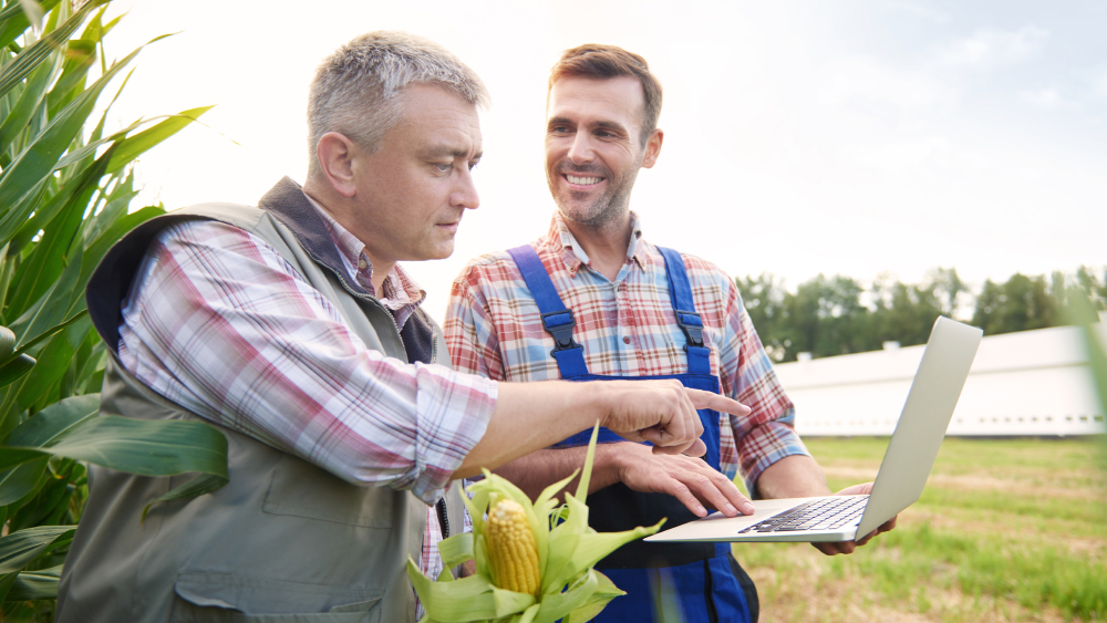 S&OP в&nbsp;сельском хозяйстве