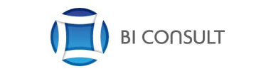BI Consult