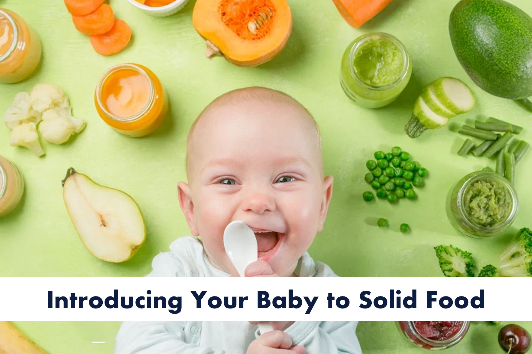 Solid Food