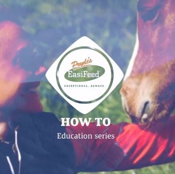Pryde's EasiFeed - What Are Gastric Ulcers with Camilla from Optim Equine