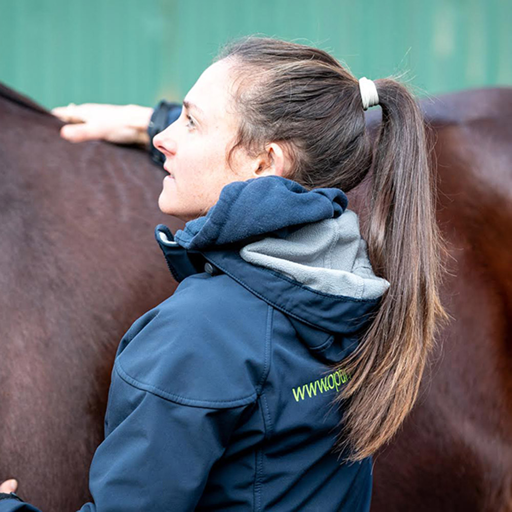 Consultation & Comprehensive Treatment​ Optim Equine