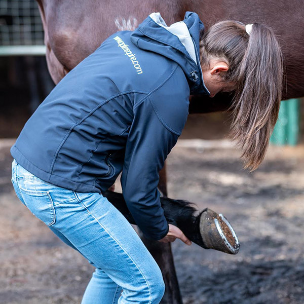 General Management, Supplementation and Feeding Programs​ Optim Equine