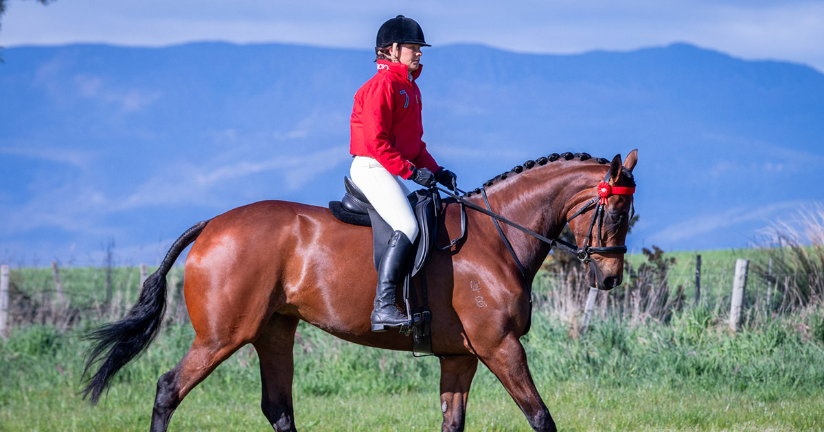 Spring,-Summer-and-More-Riding-Optim-Equine