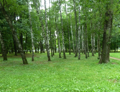 Фото 51: Парк дружбы. Парк дружбы и его памятники…