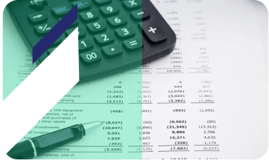 manage the entire revenue