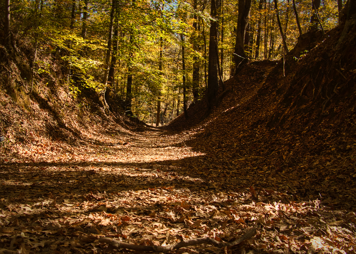 Driving the Natchez Trace Pkwy (Part 3 of 3) - Opting Out of Normal