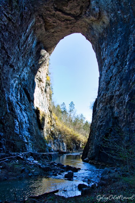 natbridge2