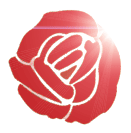 Welcome to ORACLabs