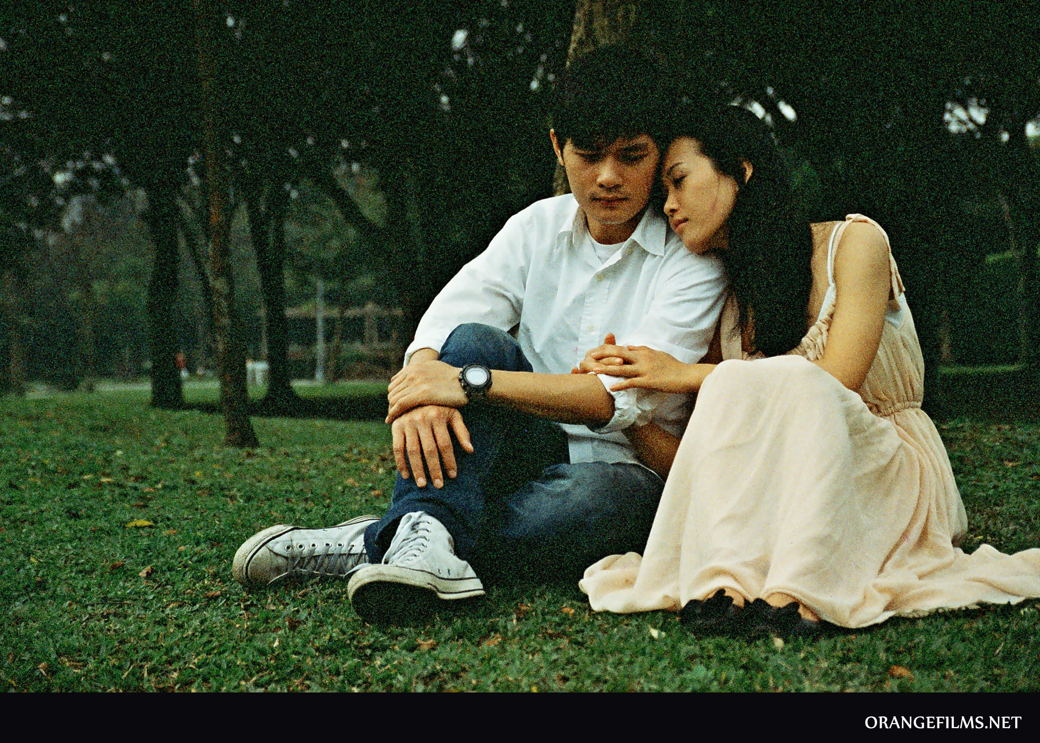 the tree of love05