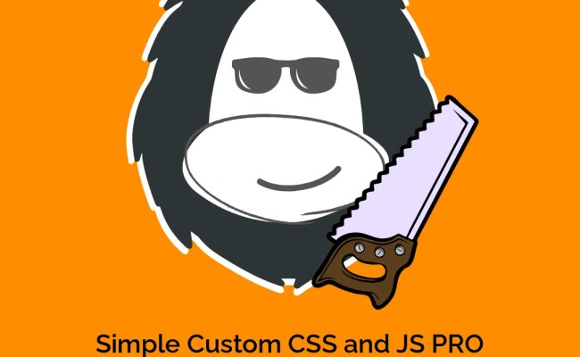 Simple Custom CSS And JS PRO - OrangoGPL