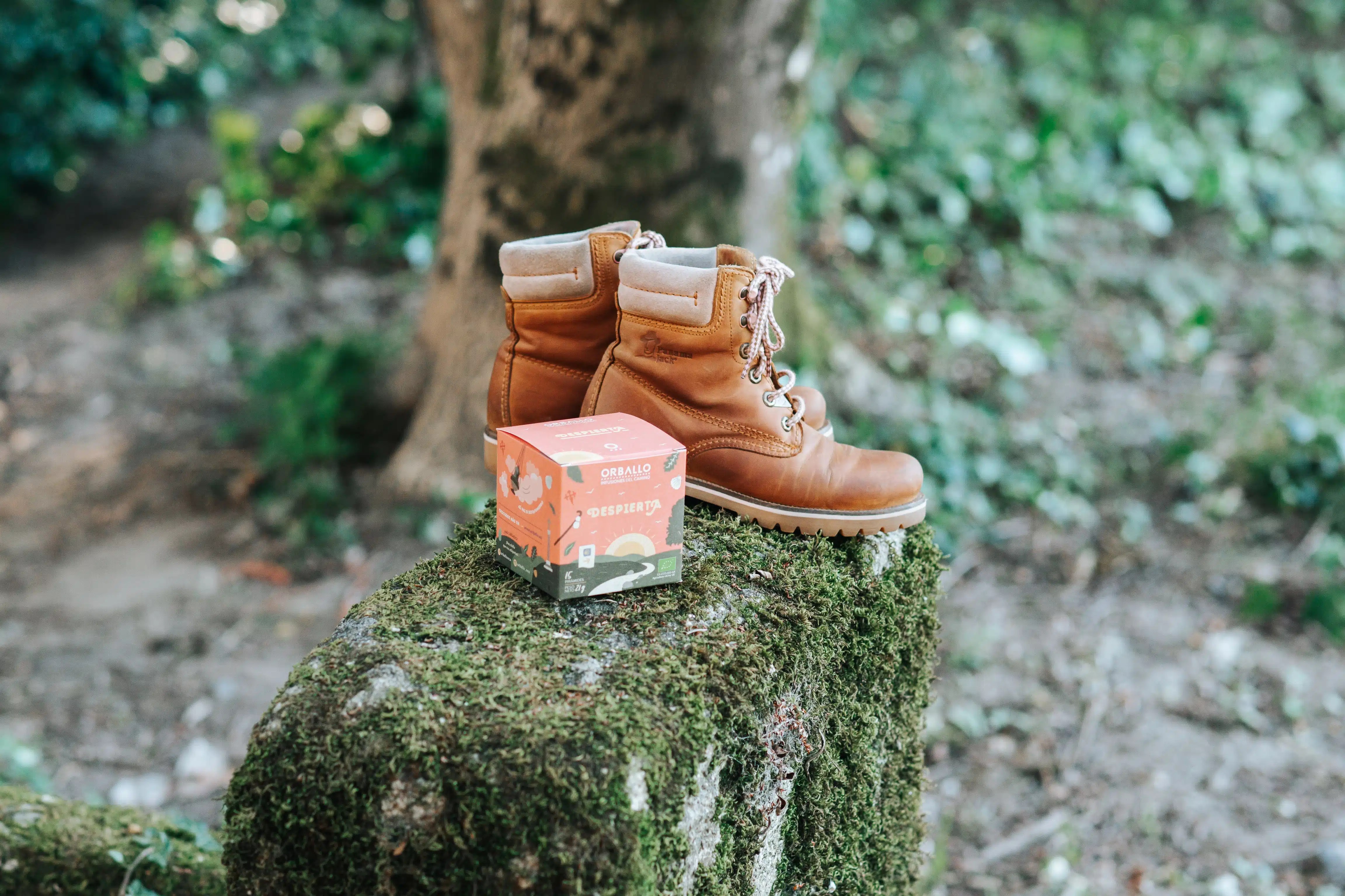 Imagen de un estuche de la infusión 