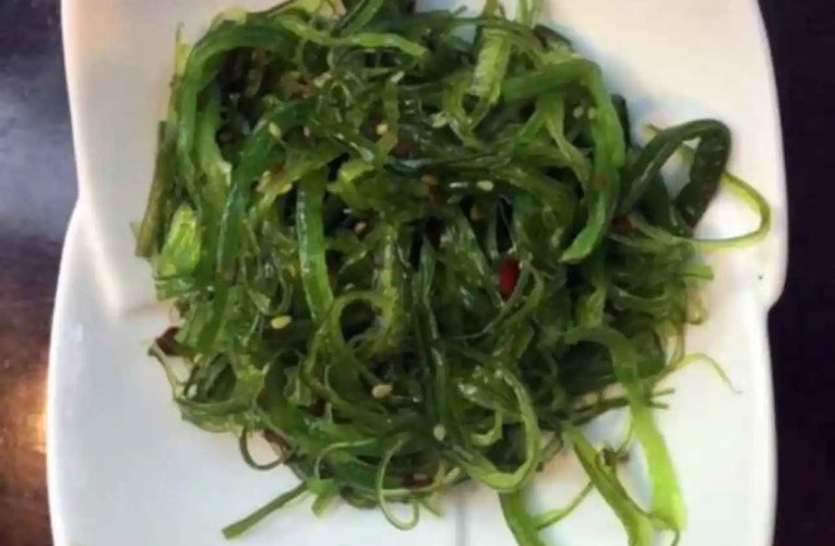 Algas wakame tienen propiedades anticancerígenas