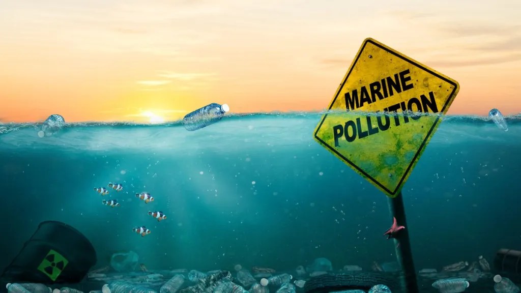 Marine pollution: environmental impact explained