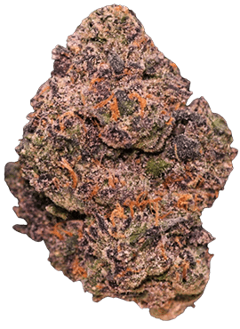 a picture of a cannabis nugget. El Chavo is the strain