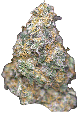 A picture of a weed nugget. Strain Frozen Lemonade