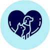 Animals-and-Pets