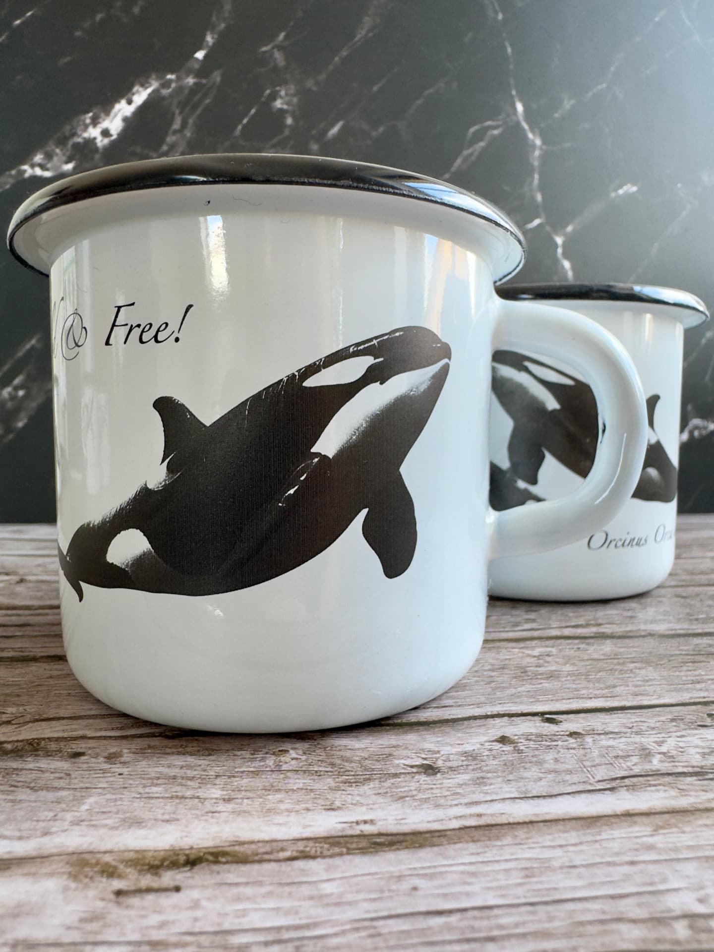 Orca Mug - Orca Legacy