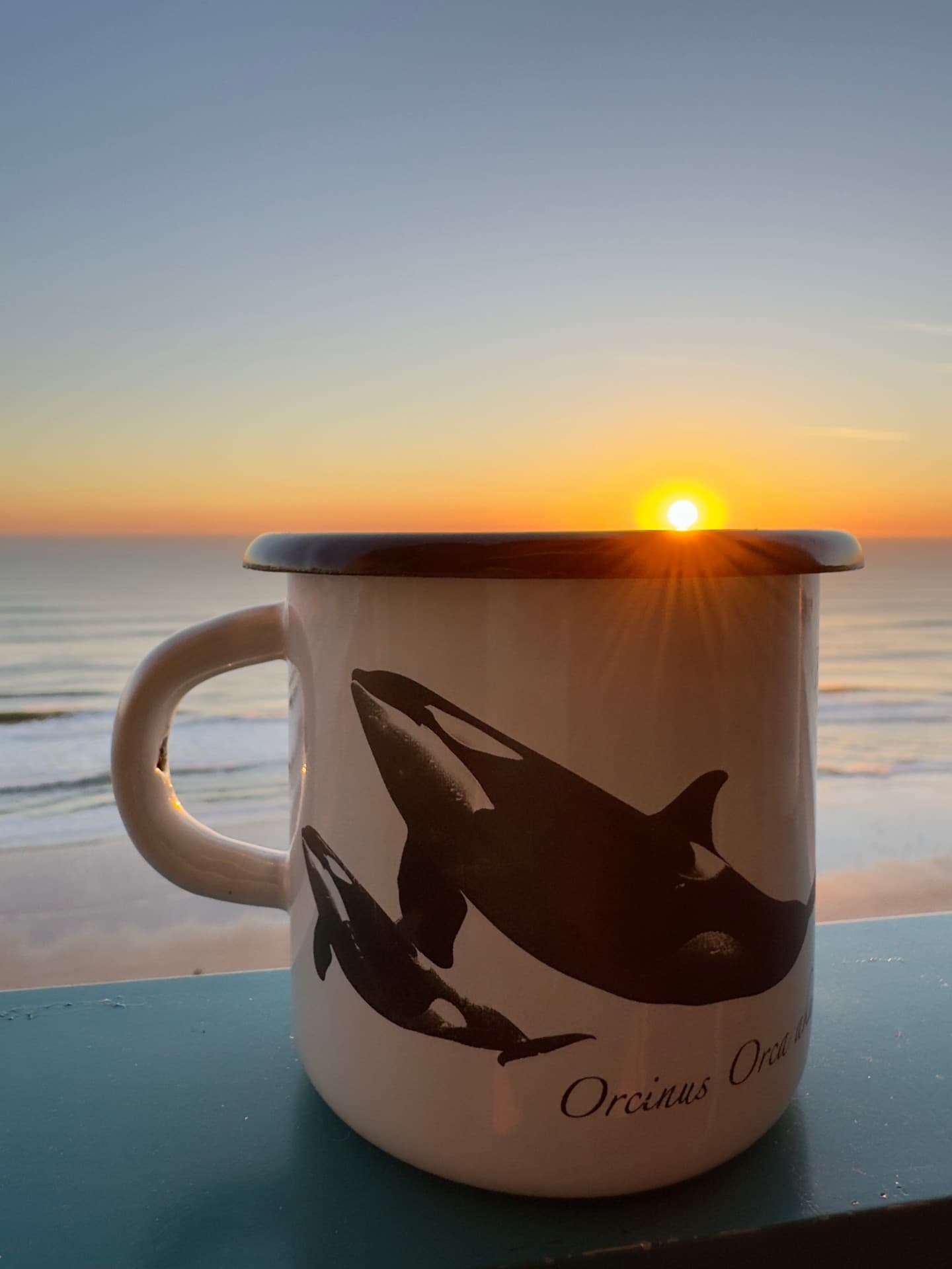 Orca Mug - Orca Legacy
