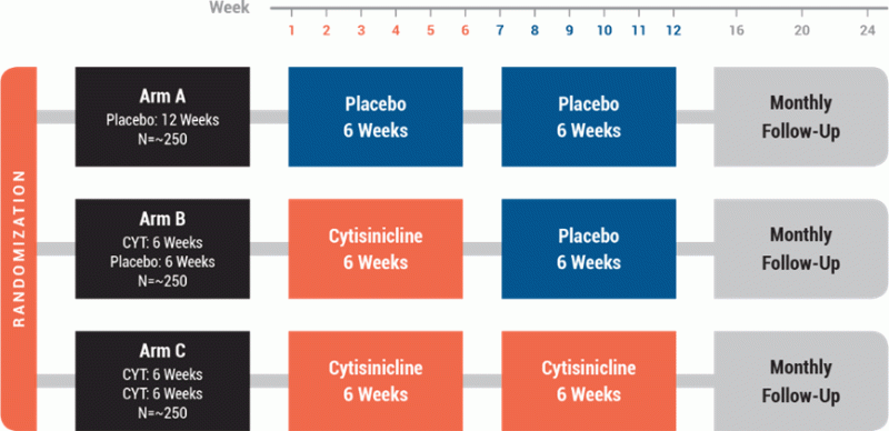 Getting Started With Orca 2 13b - Mobile Space Patterns for Desktop