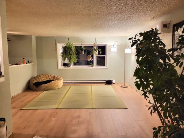 Living room with rush-smelling tatami carpet - Japanese Tatami Room