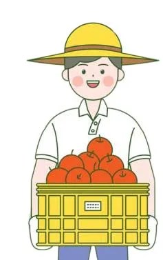하이오더 하이오더