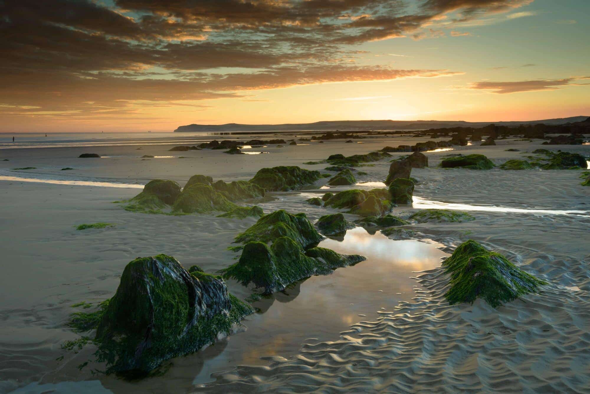 How To Experience The Oregon Coast Like A Local Hidden Gems And Featured Image 1769533225 