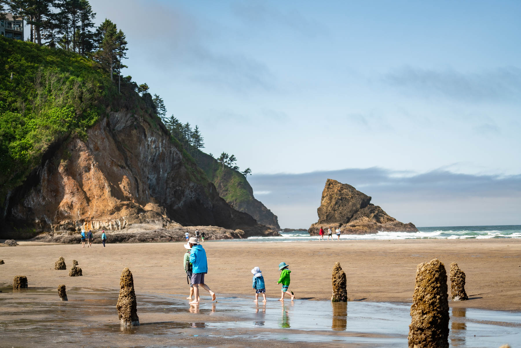 Oregon Coast Road Trip Itinerary The Route Locals Actually Take In 2026 DSC06668 