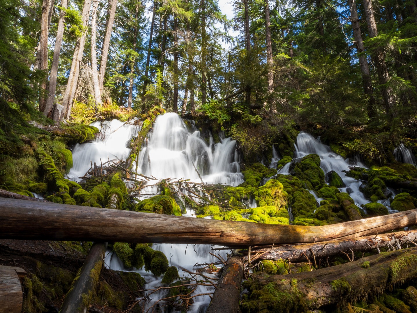 Clearwater Falls tumbling over moss-covered volcanic rocks along Highway 138, Oregon