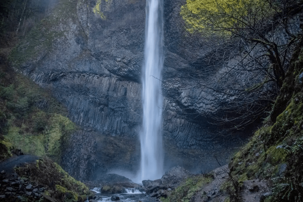 Lower Latourell Falls, a 224-foot single-drop waterfall over basalt columns covered in chartreuse-colored lichen