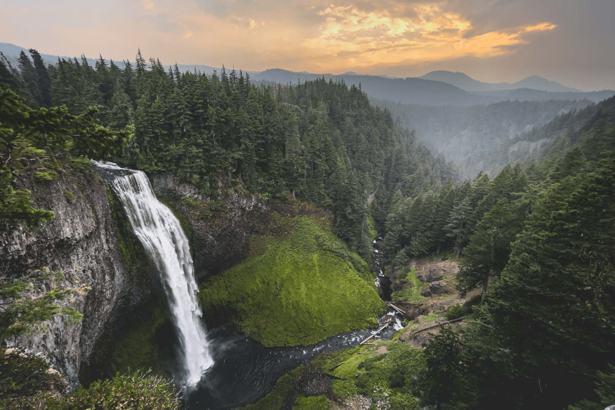 Salt Creek Falls, a 286-foot single-drop plunge waterfall in Willamette National Forest near Willamette Pass