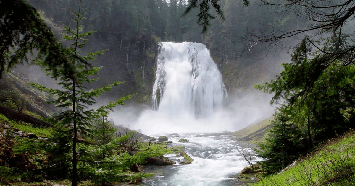 Lemolo Falls, a 102-foot wide waterfall on the upper North Umpqua River dropping into a deep pool surrounded by old-growth forest