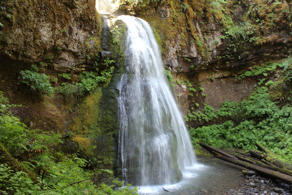 Spirit Falls, a 60-foot waterfall veiling over a bulbous moss-covered basalt cliff on Alex Creek in the Umpqua National Forest near Cottage Grove