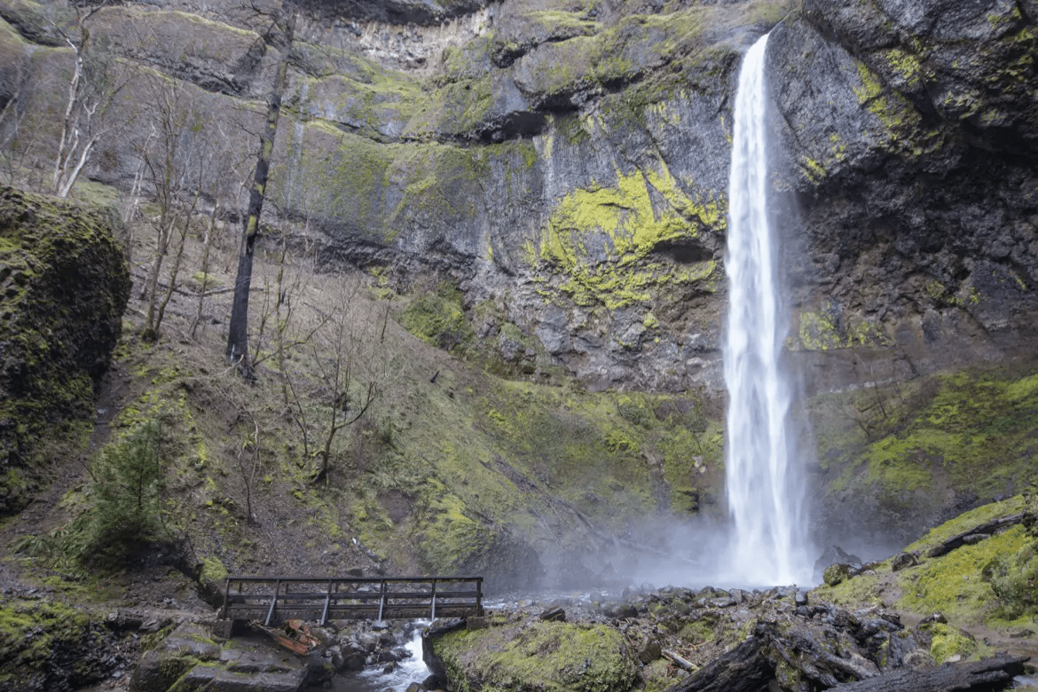 Elowah Falls, a 213-foot plunge waterfall in the Columbia River Gorge dropping into a green moss-covered amphitheater