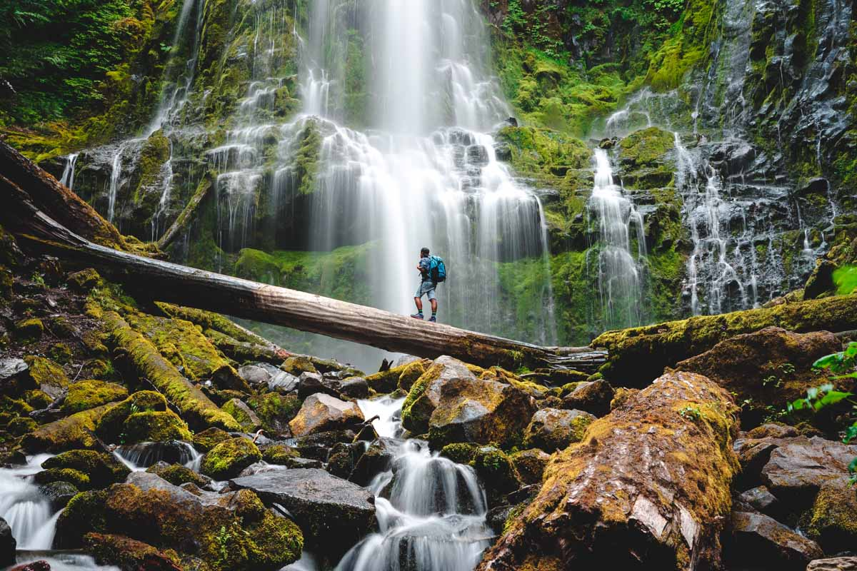 Proxy Falls, a 226-foot horsetail waterfall in Oregon's Three Sisters Wilderness, descending a moss-covered cliff