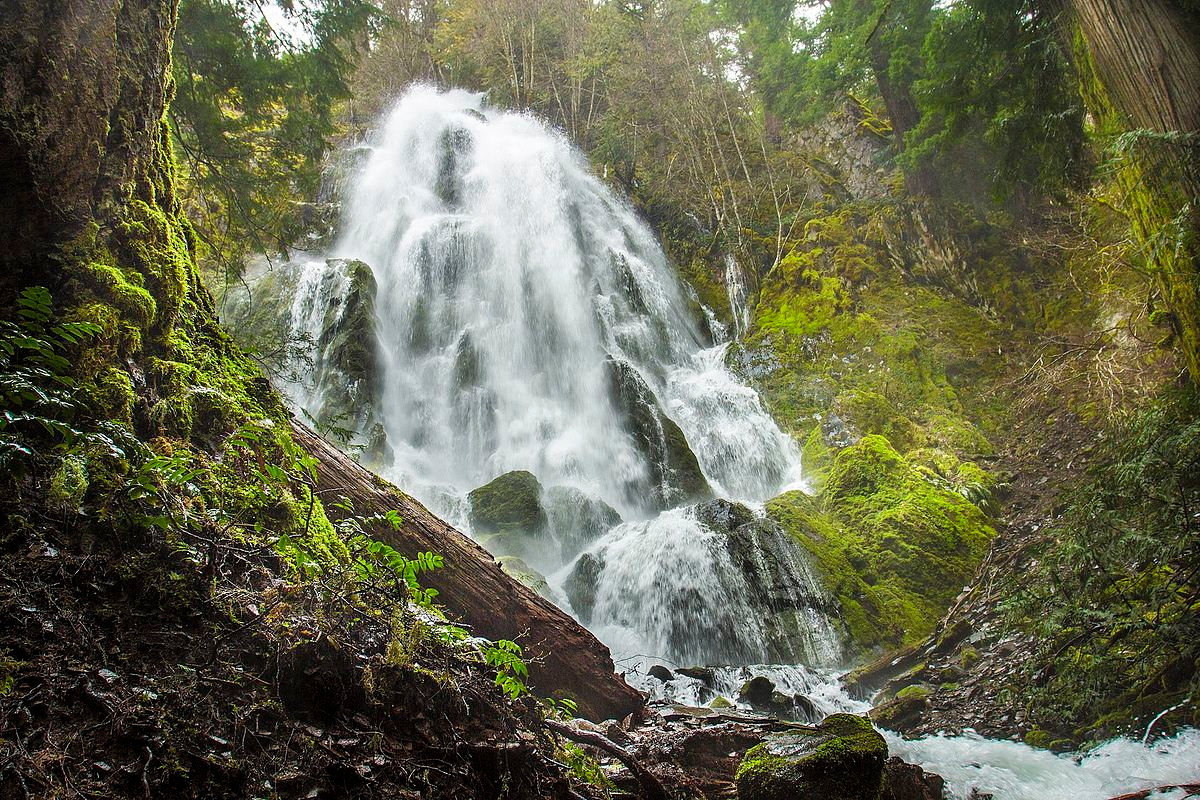 Moon Falls, a 125-foot ribbon waterfall in Umpqua National Forest reached by a half-mile walk through old-growth forest