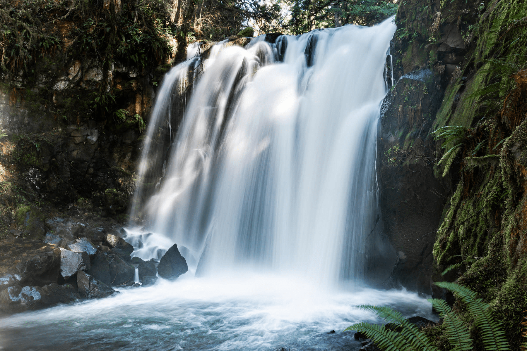 Royal Terrace Falls in McDowell Creek Falls County Park, a 119-foot tiered waterfall framed by big-leaf maples