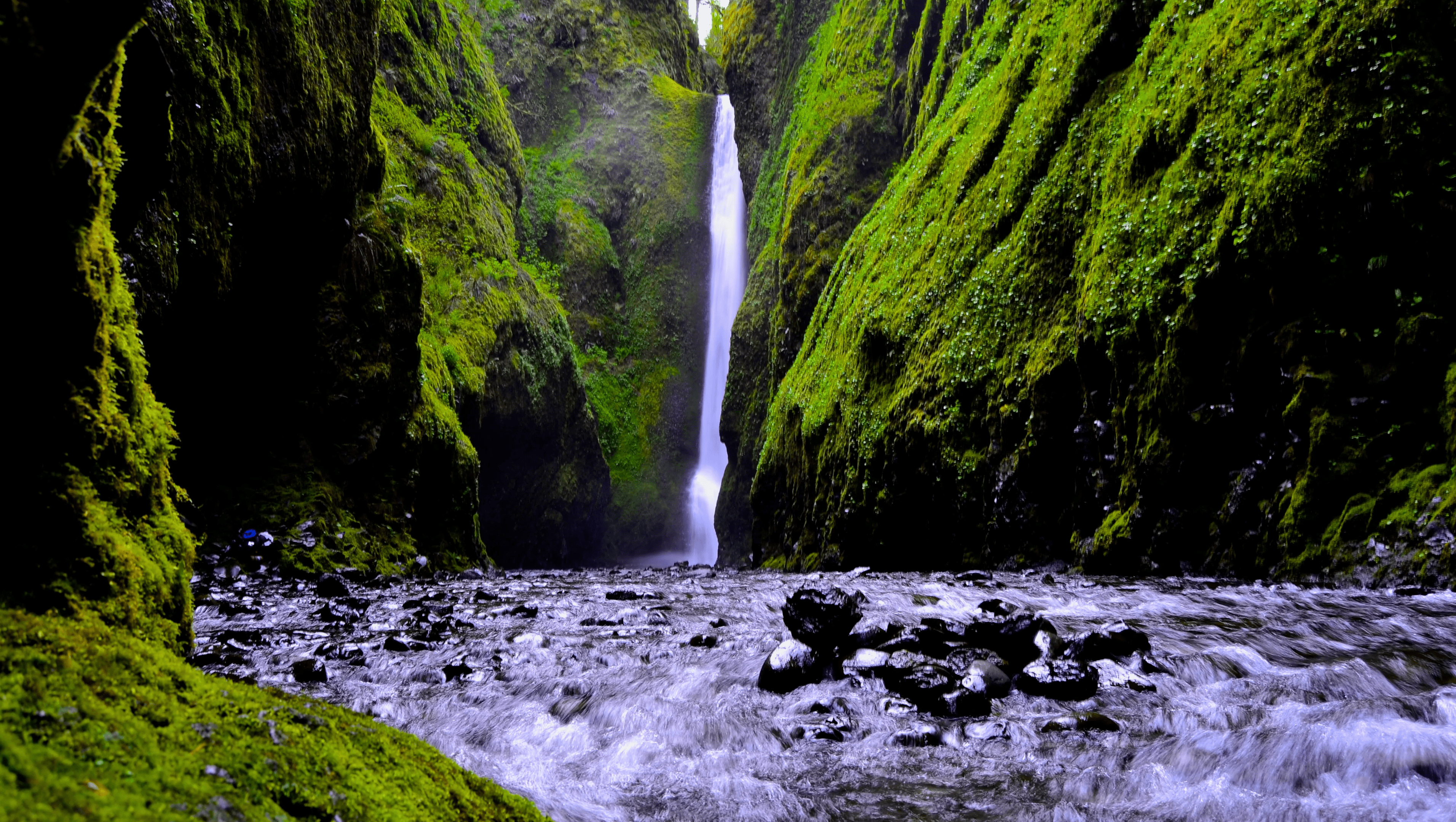 Lower Oneonta Falls, a 100-foot waterfall at the back of a narrow basalt slot canyon in the Columbia River Gorge