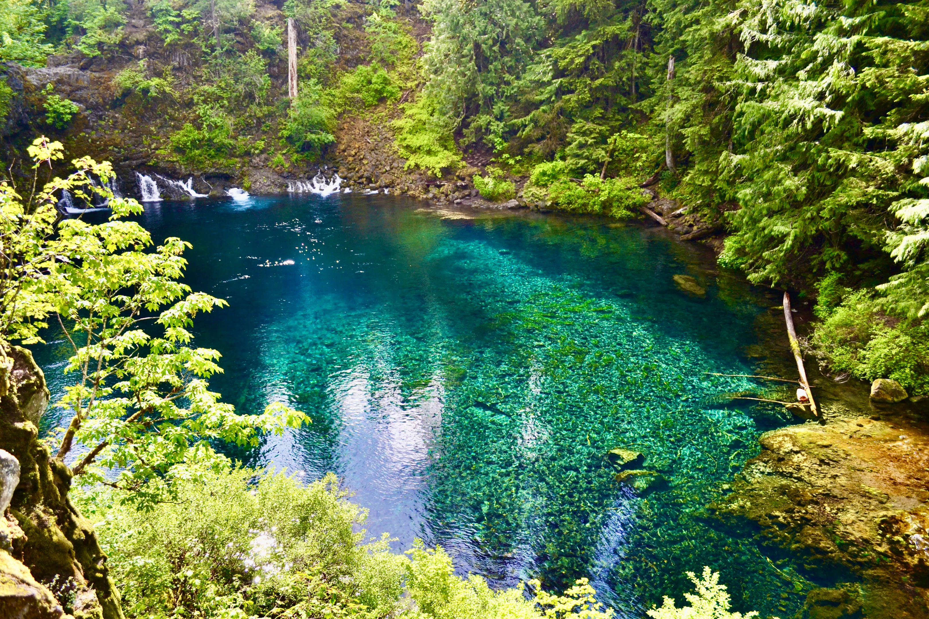 Tamolitch Blue Pool on the McKenzie River, a strikingly clear turquoise pool below a dry basalt cliff